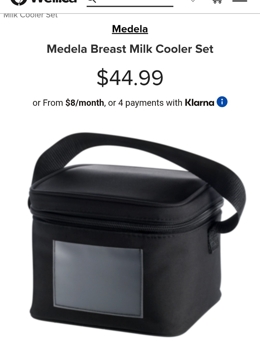 Medela Breast Milk Cooler Bag